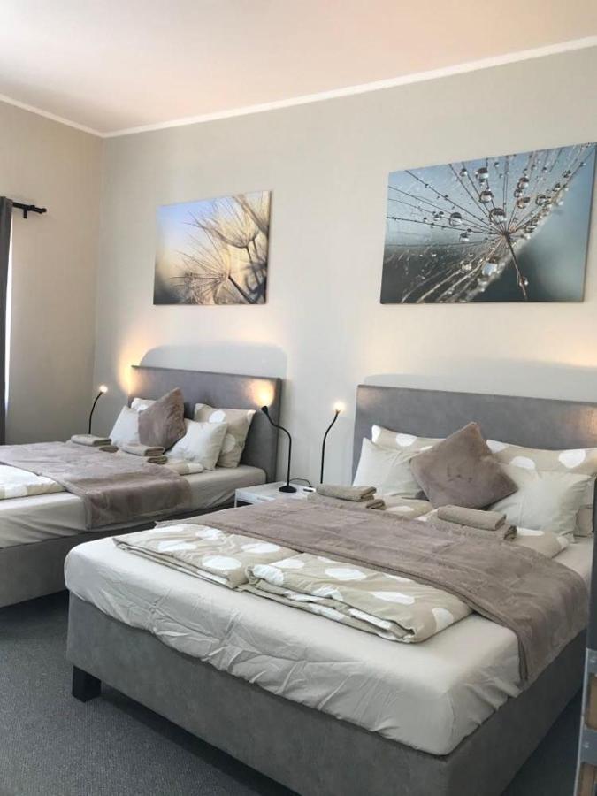Bocskai Domb Vendeghaz Hotell Nagykallo Exteriör bild